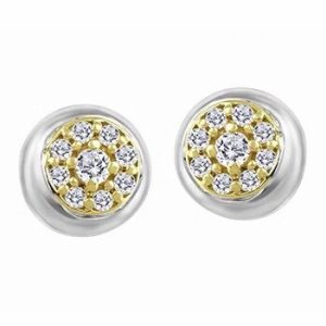 Two Tone Stud Earrings